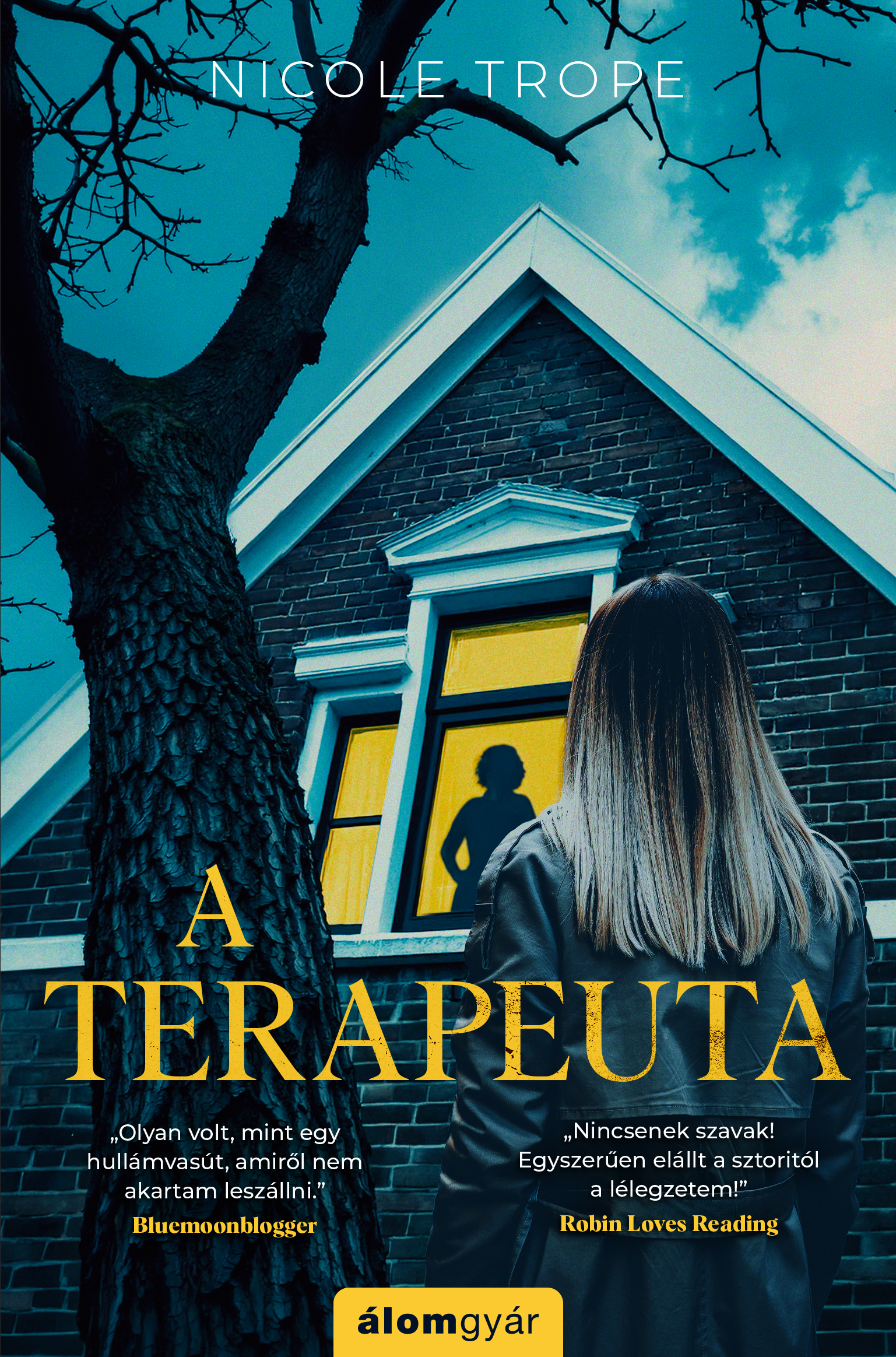 Borító: A terapeuta